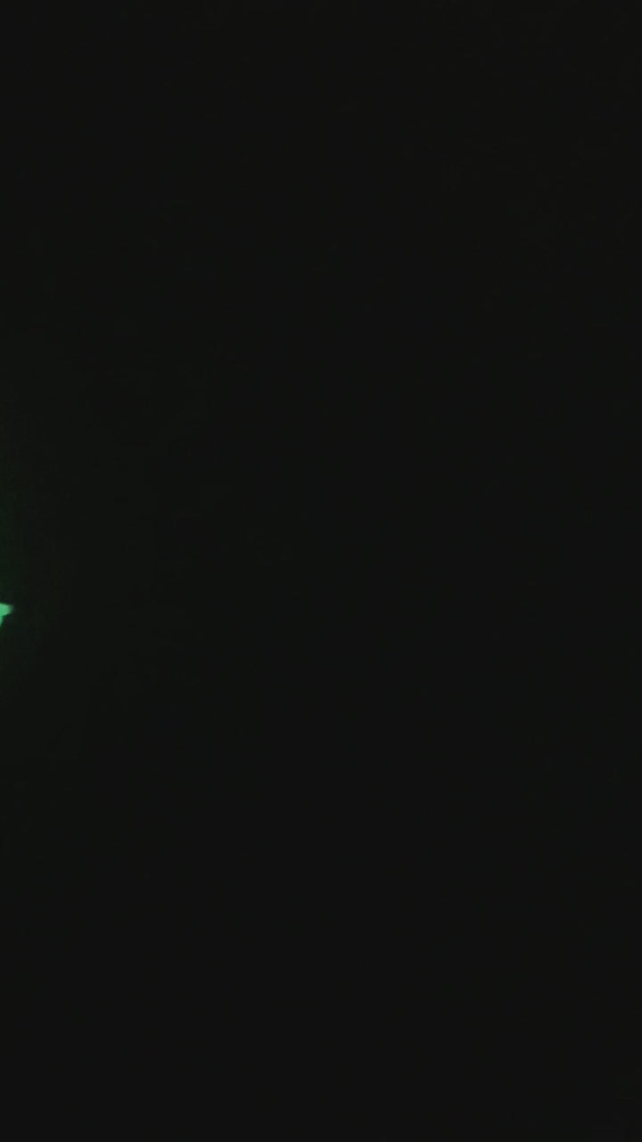 Glow in the dark SHAKA Halloween Tribal Glitter Bow