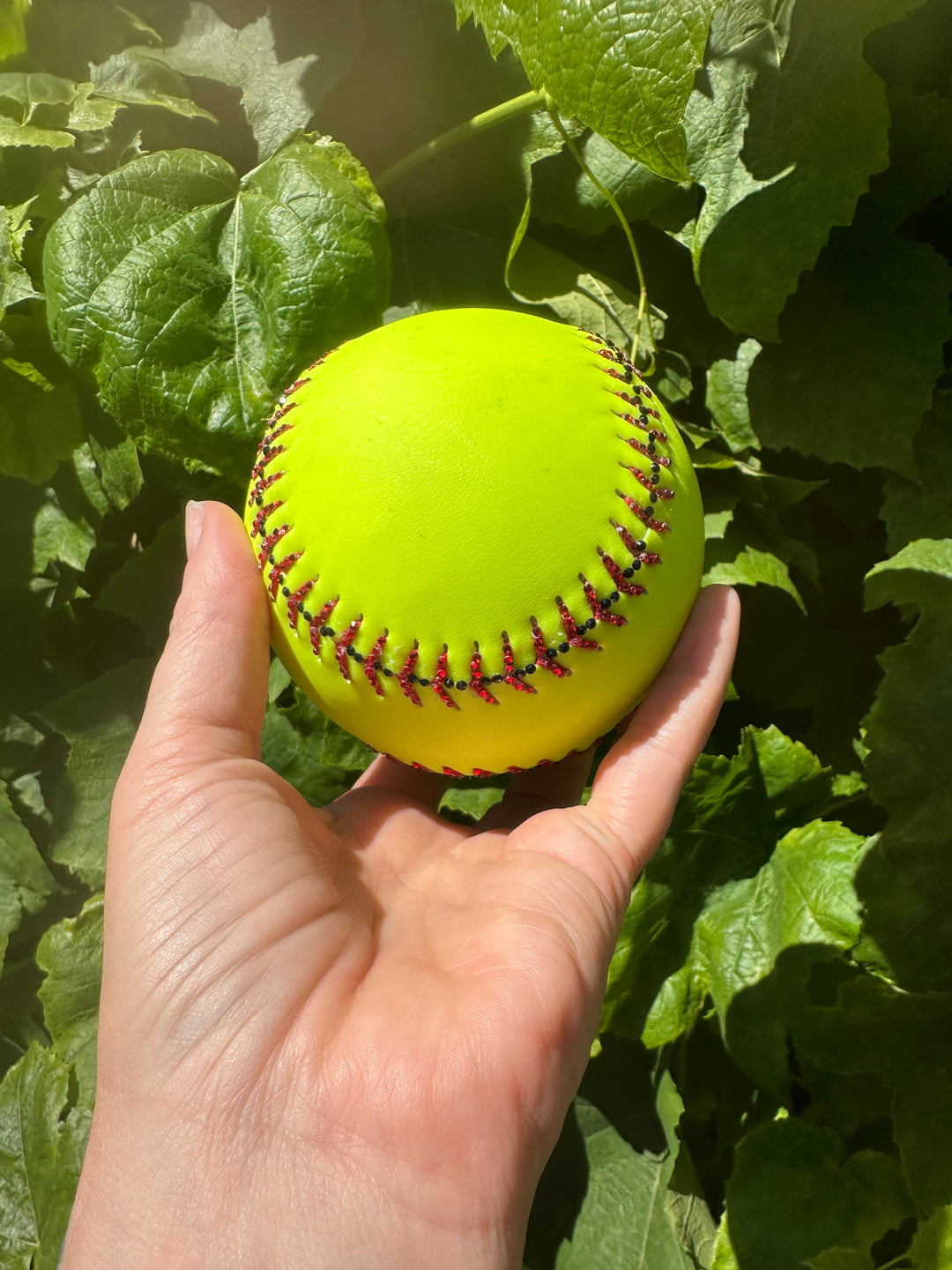Softball-Laces & Seam